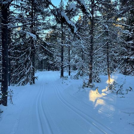 Bjorgebu Camping As Mysusæter Екстериор снимка